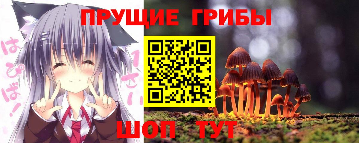 Галлюциногенные грибы Psilocybe  Галлюциногенные грибы мухоморы  Вход с VPN  Кубинка 