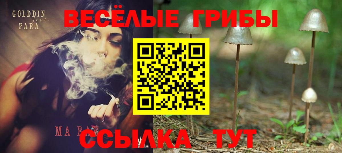 Псилоцибиновые грибы мухоморы Кубинка